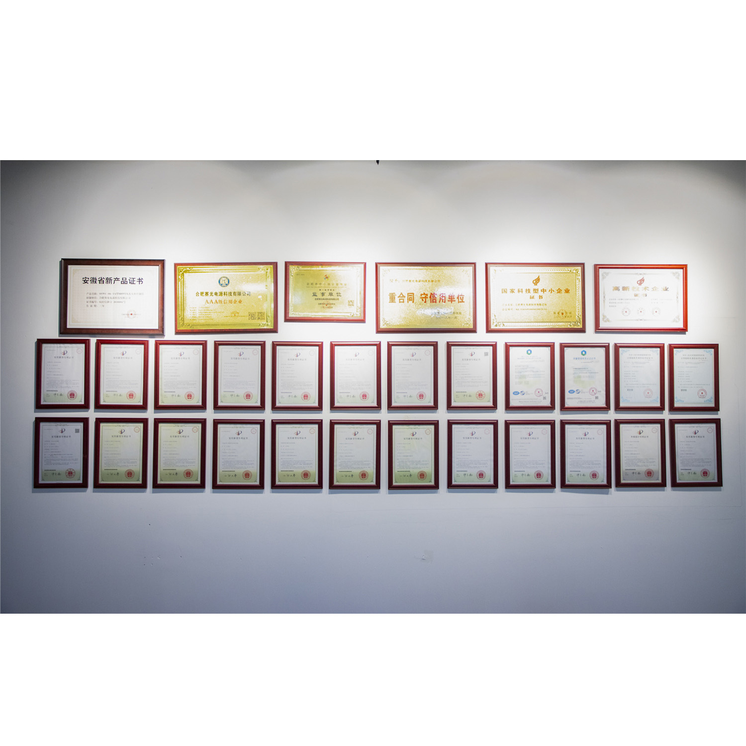 Cina Anhui Sunway New Energy Technology Co., Ltd. Profil Perusahaan